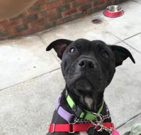 Raymond's Cafe - Accommodation BNB