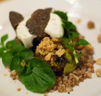 Foragers - Accommodation BNB