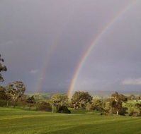 Tenafeate Creek Winery - Accommodation BNB