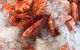 Kisseafoods - thumb 1