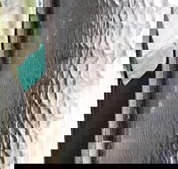 Hotel Tully - Accommodation BNB