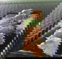 Three Black Sheep Cafe - Accommodation BNB