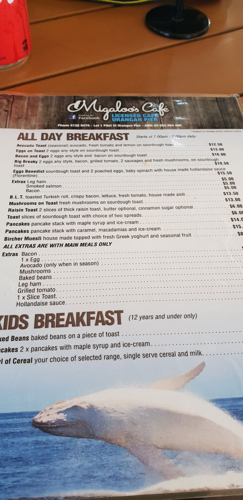 Migaloo's Cafe - Accommodation BNB 3