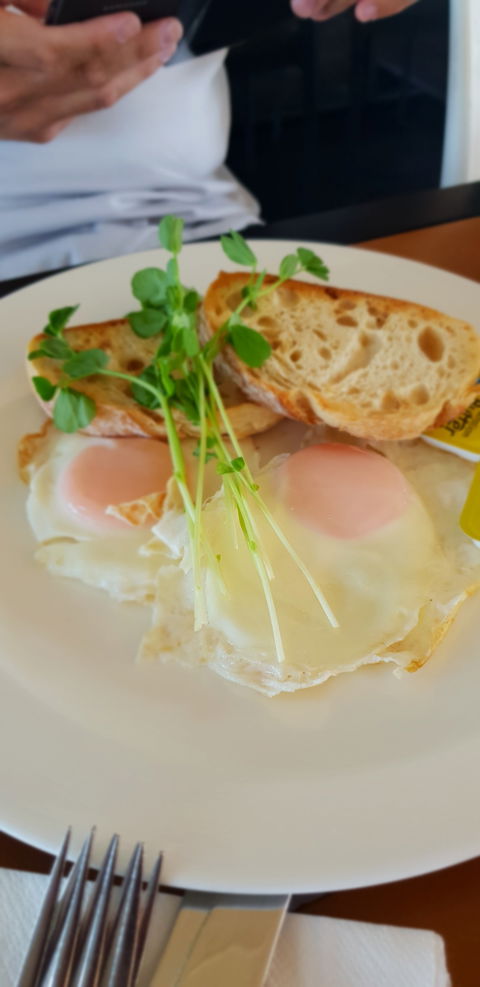 Migaloo's Cafe - Accommodation BNB 5