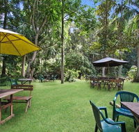 Rainforest - Accommodation BNB