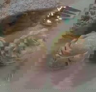 Suttons - Accommodation BNB