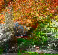 The Woods Ravensbourne - Accommodation BNB