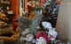 Tweed Art Gallery Cafe - thumb 3