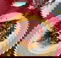 Sookie La La - Accommodation BNB