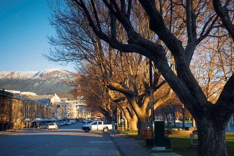 Salamanca Terraces - Accommodation BNB 8