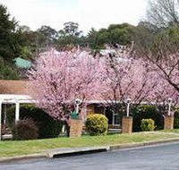 White Lanterns Motel - Accommodation BNB