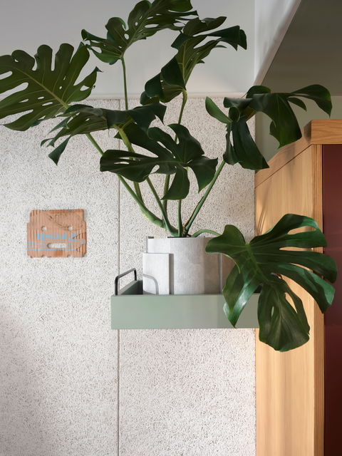 ACE Hotel Sydney - Accommodation BNB 0