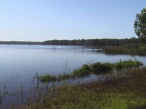 Cabarita Lake Apartments - Accommodation BNB 2