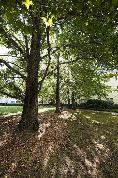University House - ANU - Accommodation BNB 28