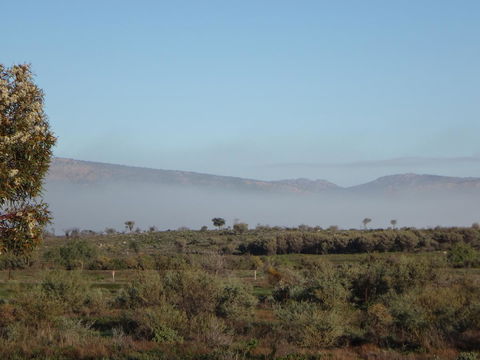 Windana Cottages - Accommodation BNB 44