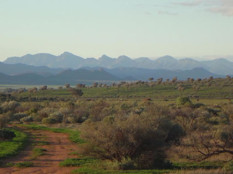 Windana Cottages - Accommodation BNB 41