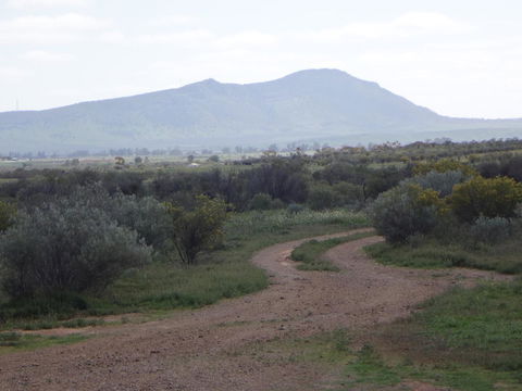 Windana Cottages - Accommodation BNB 40