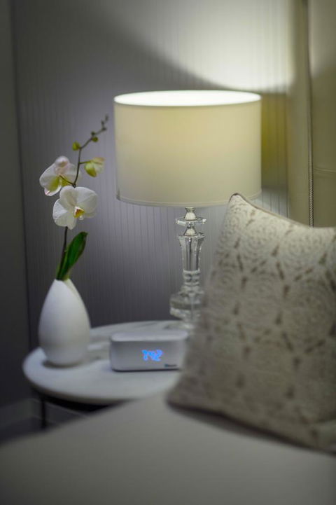 Mayfair Hotel - Accommodation BNB 13