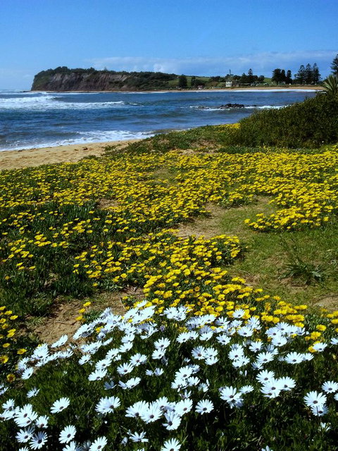 Serenity On Narrabeen Beach - 1Bdr Beachside Retreat - Accommodation BNB 10