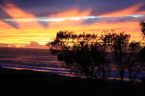 Serenity On Narrabeen Beach - 1Bdr Beachside Retreat - Accommodation BNB 1