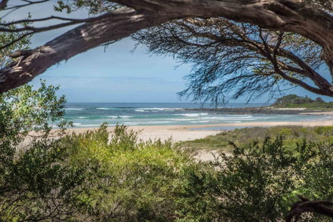 BIG4 Tasman Holiday Parks - Racecourse Beach - Accommodation BNB 7