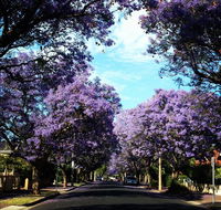 Monaco Court Apartment Adelaide - Accommodation BNB