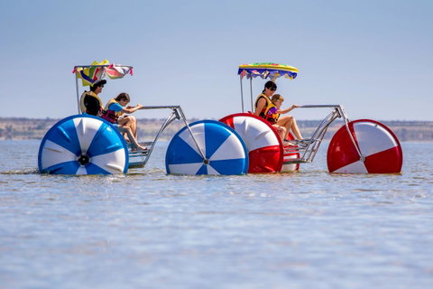 Discovery Parks - Lake Bonney - Accommodation BNB 26