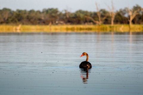 Discovery Parks - Lake Bonney - Accommodation BNB 36