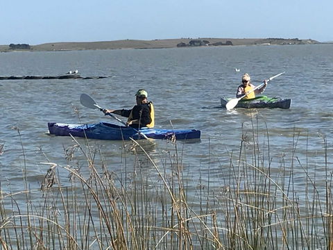 Hydeaway Bay - Own Private Bay + Kayaks - Accommodation BNB 30