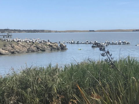 Hydeaway Bay - Own Private Bay + Kayaks - Accommodation BNB 34