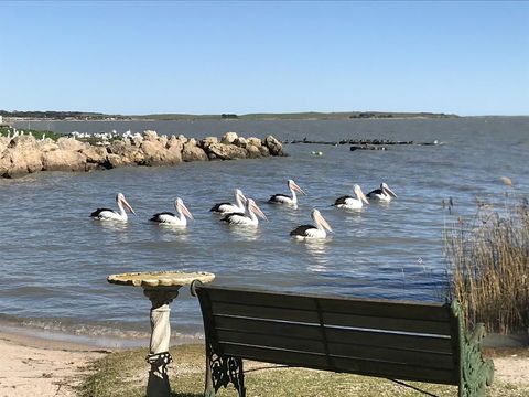 Hydeaway Bay - Own Private Bay + Kayaks - Accommodation BNB 18