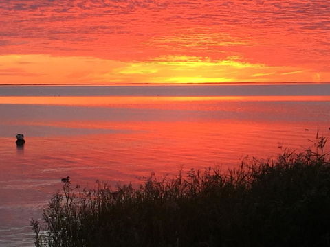 Hydeaway Bay - Own Private Bay + Kayaks - Accommodation BNB 37