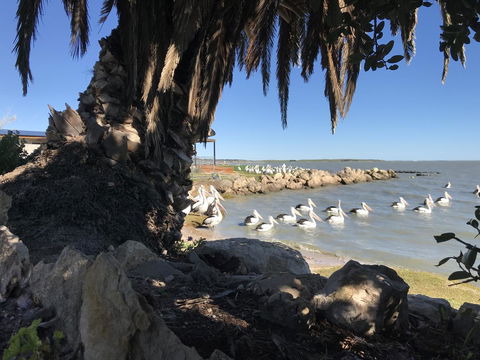 Hydeaway Bay - Own Private Bay + Kayaks - Accommodation BNB 17
