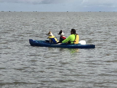 Hydeaway Bay - Own Private Bay + Kayaks - Accommodation BNB 31