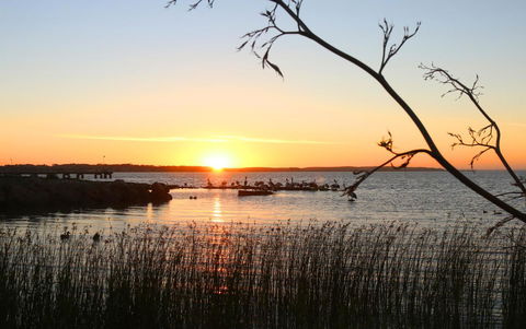 Hydeaway Bay - Own Private Bay + Kayaks - Accommodation BNB 36