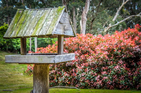Ghost Hill Road Retreat - Accommodation BNB 17