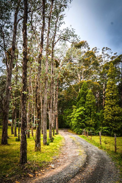 Ghost Hill Road Retreat - Accommodation BNB 14
