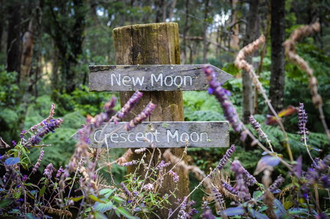 Ghost Hill Road Retreat - Accommodation BNB 15