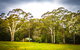 Ghost Hill Road Retreat - thumb 8