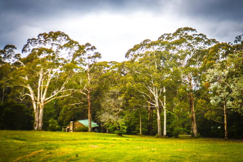 Ghost Hill Road Retreat - Accommodation BNB 8