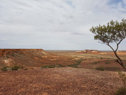 Underground Gem - Accommodation BNB 30