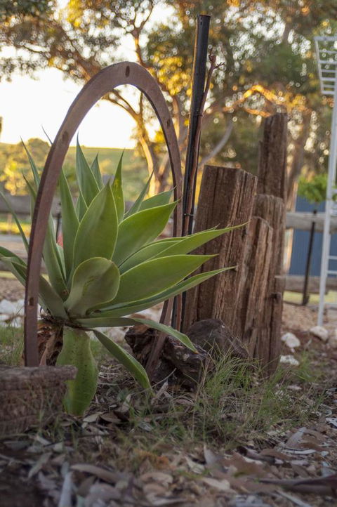 Seppelts View Cabins - Accommodation BNB 37