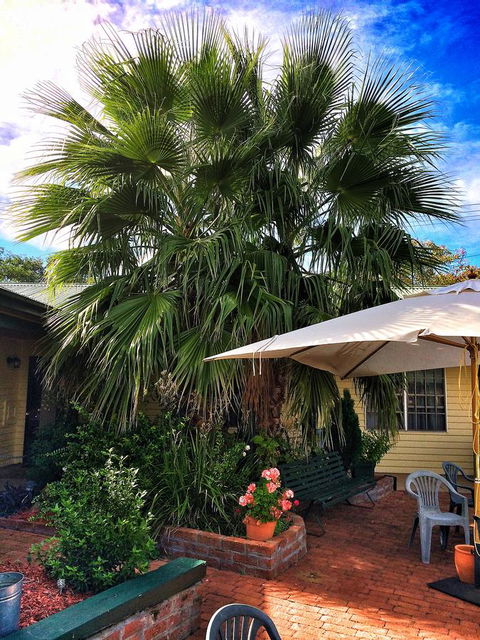 Ten Dollar Town Motel - Accommodation BNB 17