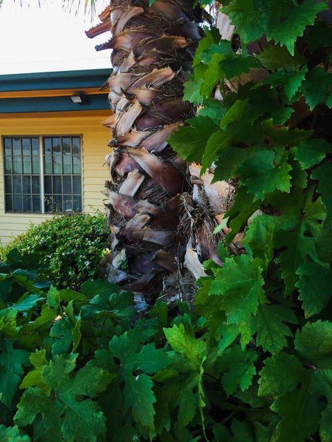 Ten Dollar Town Motel - Accommodation BNB 19