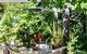 Adelaide Hills Retreats - thumb 27