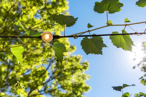 Adelaide Hills Retreats - Accommodation BNB 32