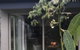 Adelaide Hills Retreats - thumb 9