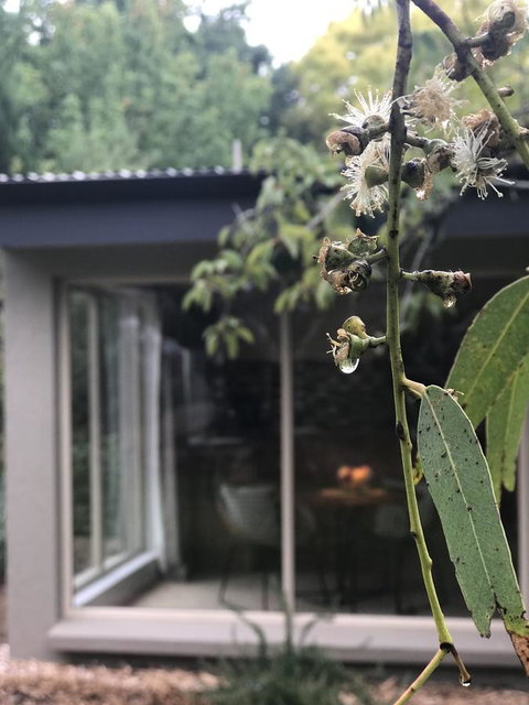 Adelaide Hills Retreats - Accommodation BNB 9
