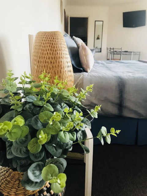 Barossa Valley Studio - Accommodation BNB 12