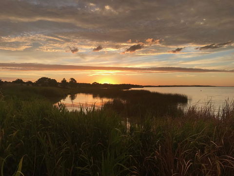 Lake Albert Motel - Accommodation BNB 0